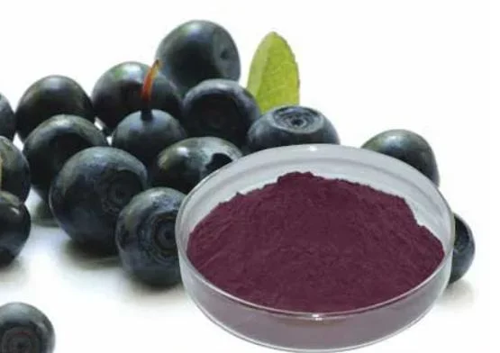 Acai Berry Extract Powder with 4: 1 10: 1