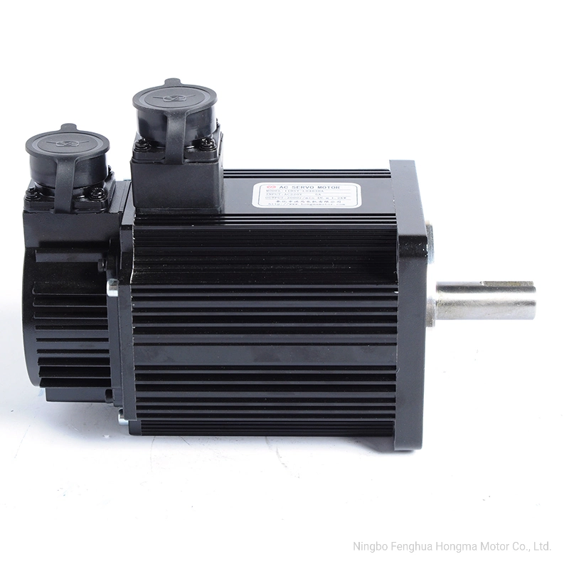 Factory Direct Sale AC Servo Motor (110ST-060020A)