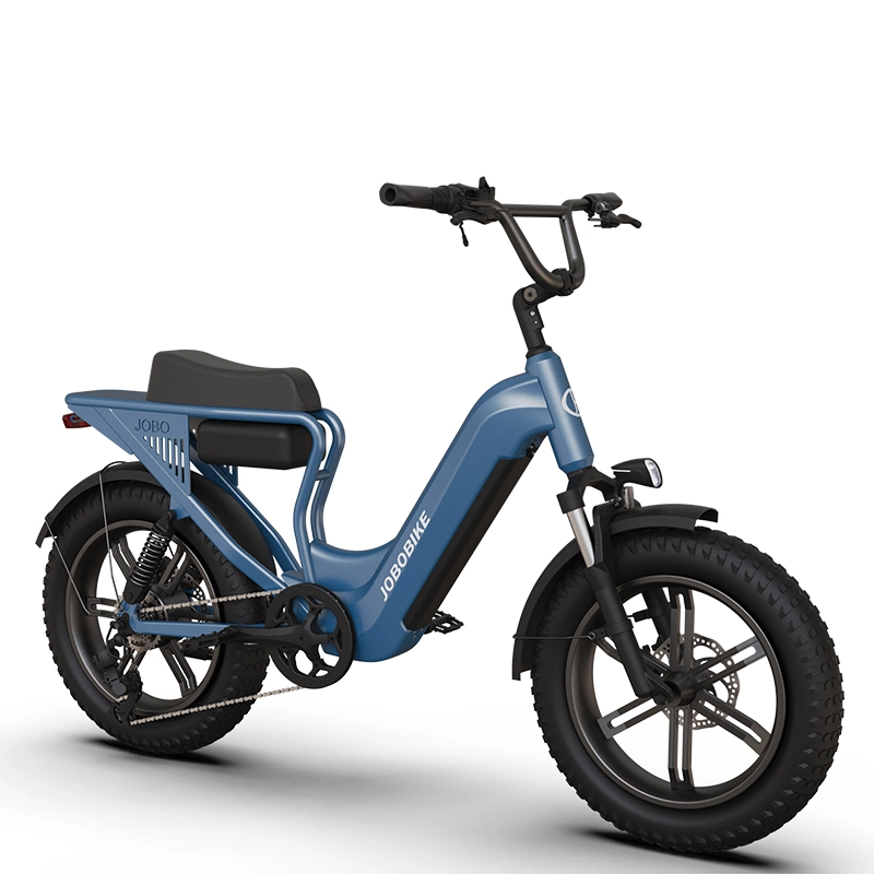 Fat Bike Lithium Battery Electric Dirt Bike Adult off-Road Motorcycles Aluminum Alloy Electric Bike