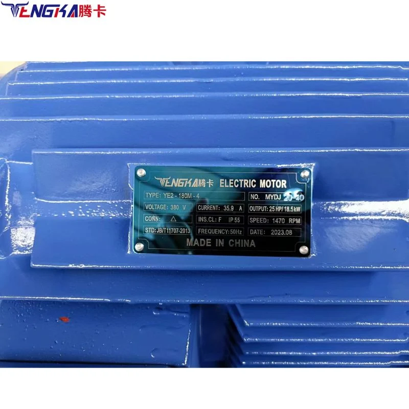 Tengka 240V AC Motor 300 Rpm 15000 Rpm 4000rpm AC Gear Motor 220V