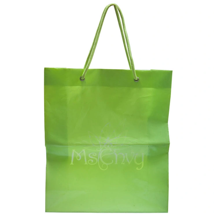 PVC Printed String Handle Bags for Shopping (FLS-8041)