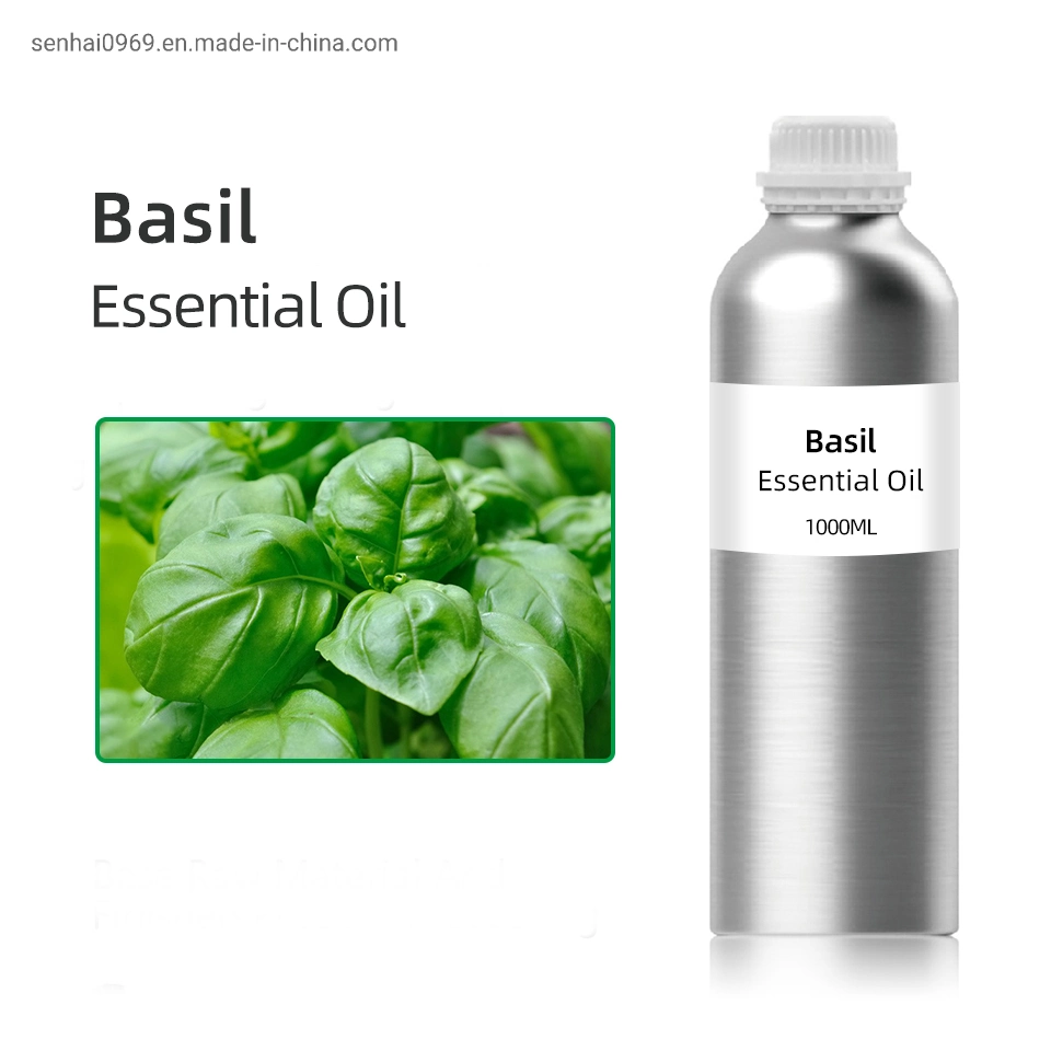 Bulk Wholesale Pure Natural Fragrance Perfume Oil CAS 8015-73-4 Basil Oil in Daily Flavor