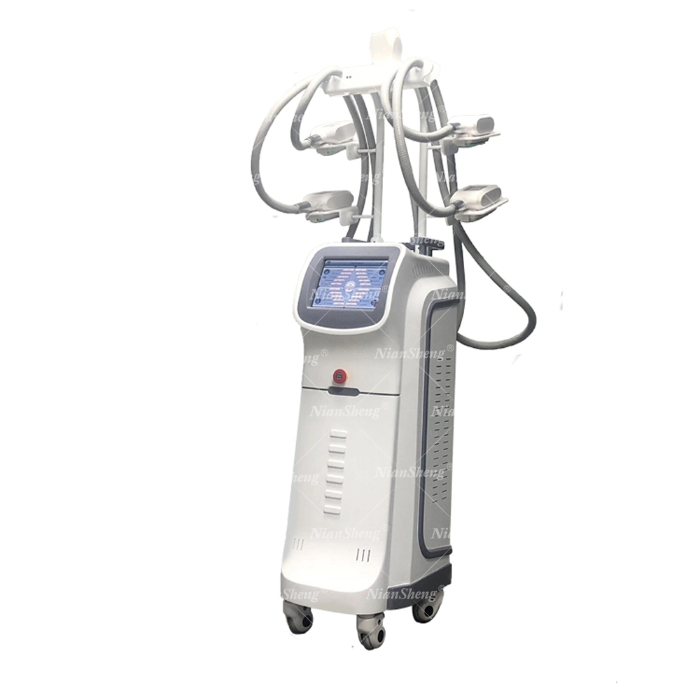 Fat Burning Cryolipolysis Weight Loss Beauty Salon Instrument