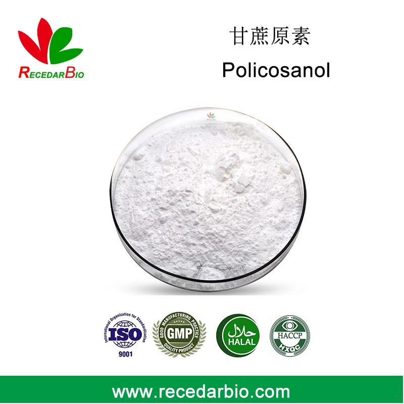 High Quality Sugar Cane Wax Extract Policosanol with CAS 557-61-9