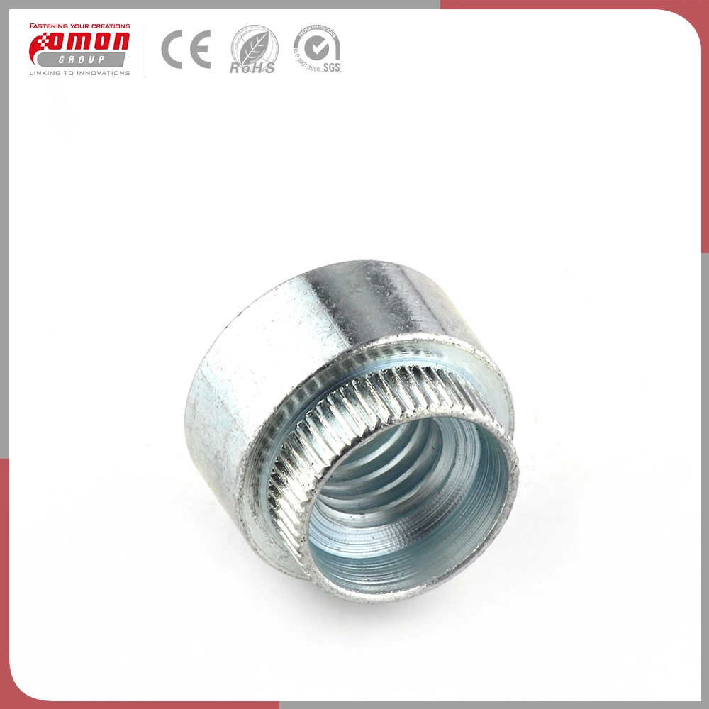 OEM Bolt Brass Stainless Steel Hex Rivet Nut for Building