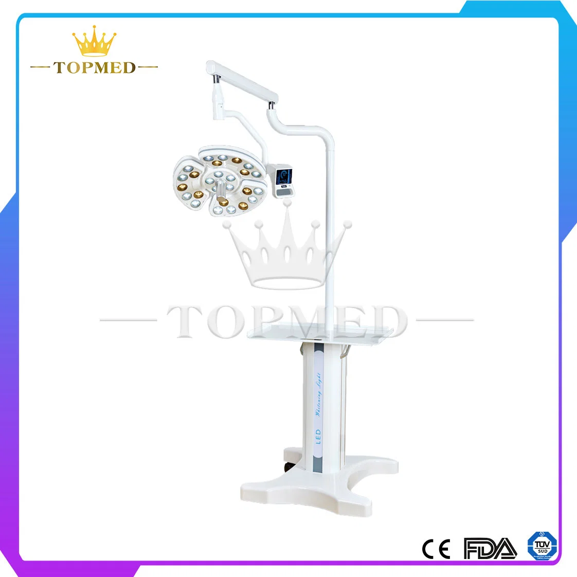 Medical Equipment Dental Instrument Dental Shadowless Implant Surgery LED Lamp