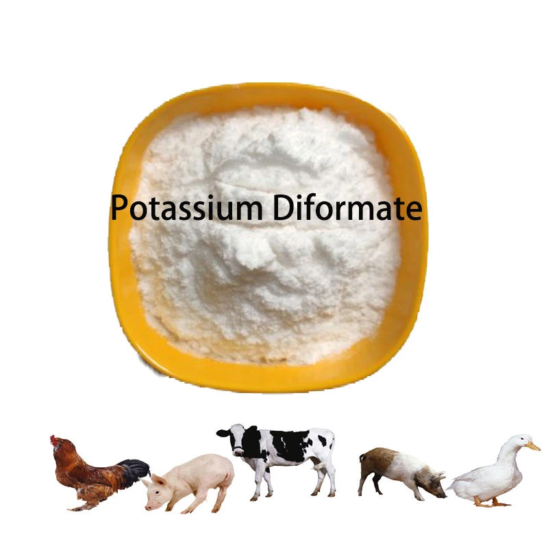 Pharmaceutical Products CAS 20642-05-1 Potassium Diformate for Animals Feed