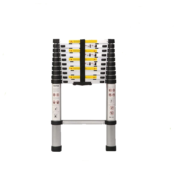 Aluminum Telescopic Ladder with 10 Steps