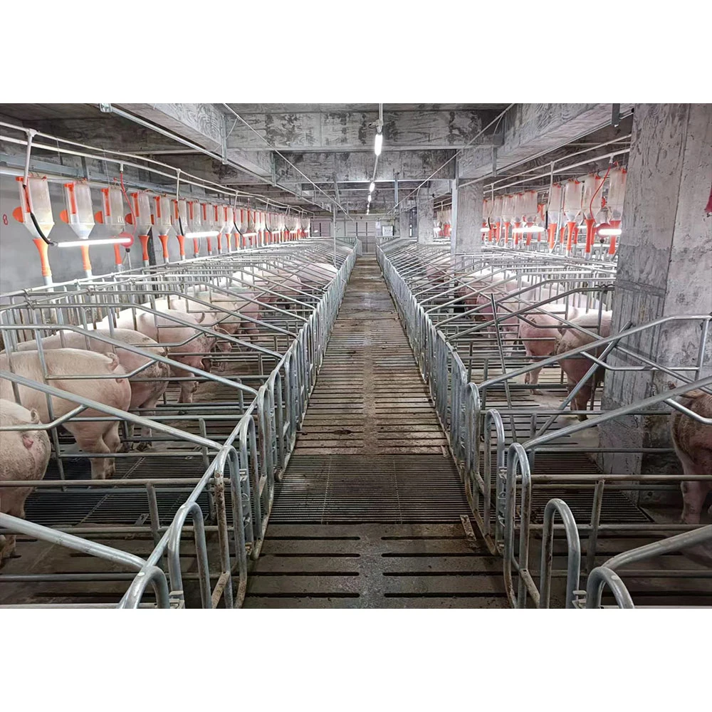 Pig Farm Equipment Pig Farming Equipment Piggery Farm Equipment Pig Feeder Equipment