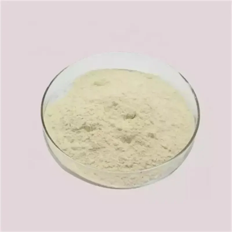 Supplier Thickener Food Grade 80/200 Mesh Xanthan Gum Powder Price