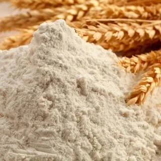 Tianjia in Stock Hot Sale Factory Supply Feed Grade Proteins Vital Wheat Gluten China 8002-80-0