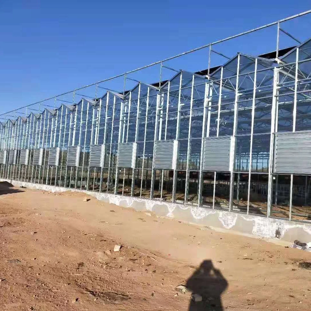 Agriculture/Commercial Glass Greenhouse with Temperature Control System/Fan/Seedbed/External/Internal Shading