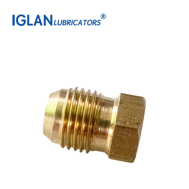 Hex Pipe Fitting Brass Material Plug Oil Pipe Closure Plug Grease Tube Valve Fittings