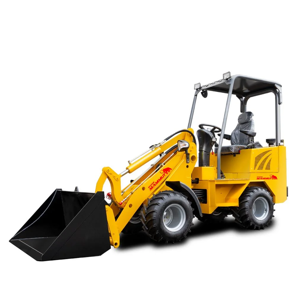 Wl10 CE Certificates Transmission Italy Pump Mini Wheel Loader