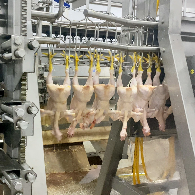 Le dépeçage de poulet poulets en abattoir de la machine machine usine de transformation de l'équipement d'abattage de poulet