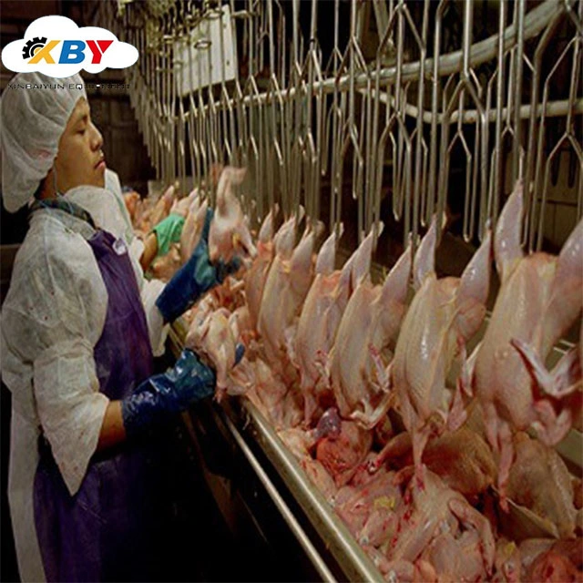 2019 Automatic Chicken Slaughtering Equipment