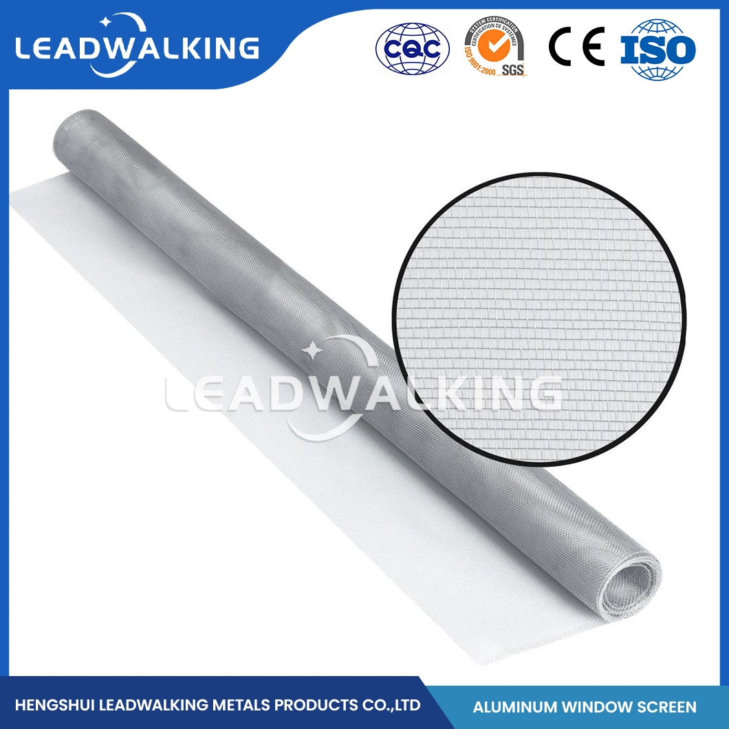 Leadwalking Stainless Steel Window Screen Mesh Good Aesthetics Aluminum Mesh Window Screen Factory High-Quality China 302 304 Aluminum Alloy Window Screen