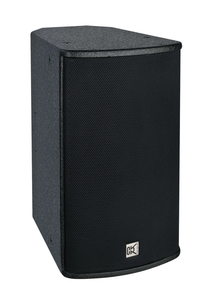 Professional Audio Loudspeakers 10 Inch Full Range Speaker