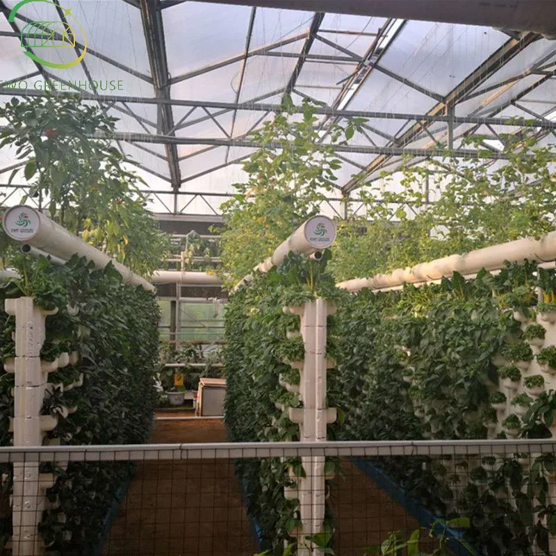 Modern Ecological Multi-Span Glass Greenhouse with Hydroponic System for Vegetable Cultivation