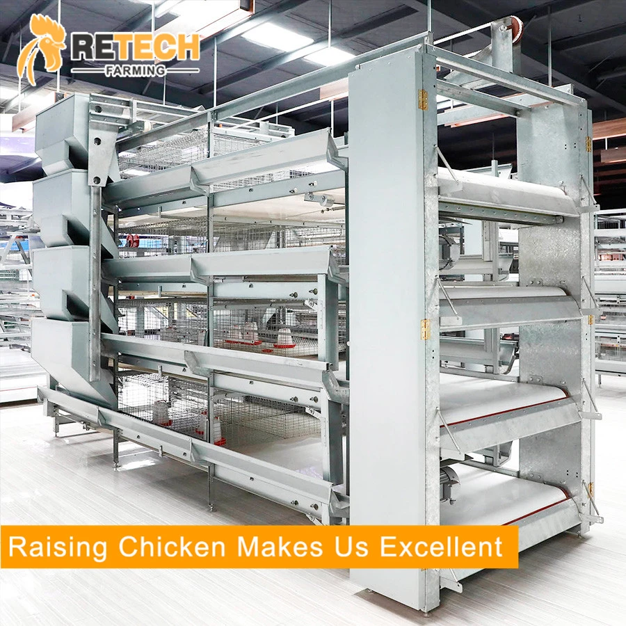 Poultry Equipment Breeding Chicken Cage for Growing Egg Layer Chicken