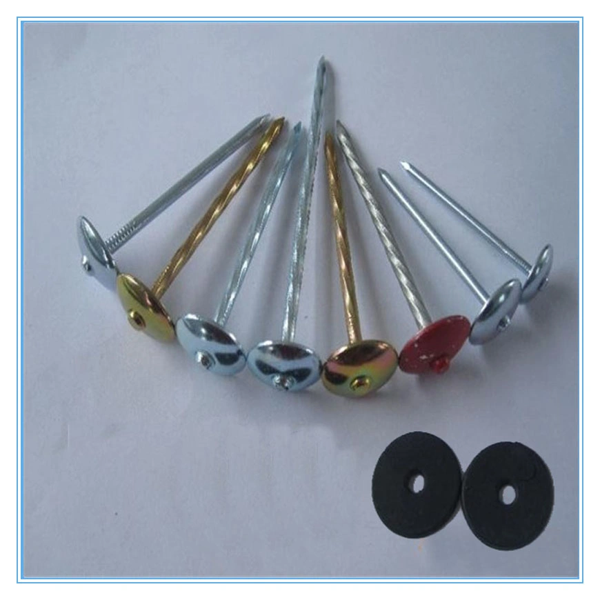 Hot Sales Umbrella Head Smooth Shik Roofing Nail