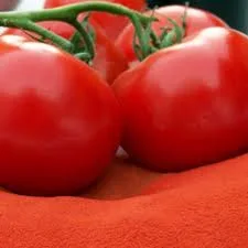 Getrocknetes Tomatenpulver Aufsprühen