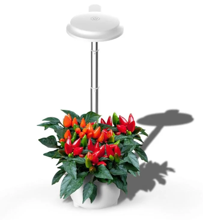 Automatische hydroponische Pflanzenwachstum Maschine LED Grow Lights Indoor Smart Garten-Hydroponsystem