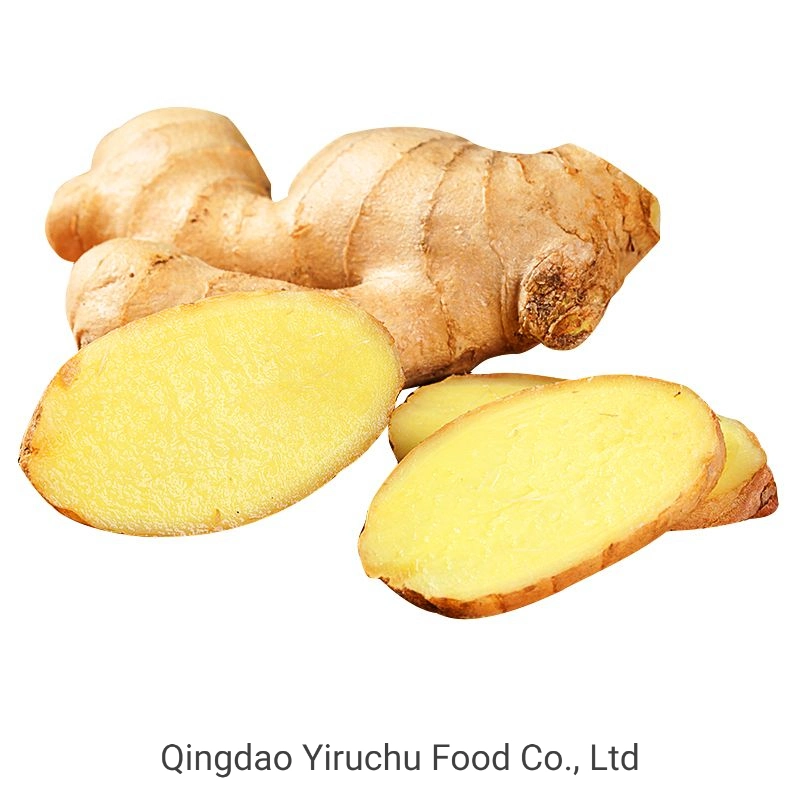 High quality/High cost performance  Fresh Ginger Market Price Per Ton of Wholesale/Supplier China Shandong Exports