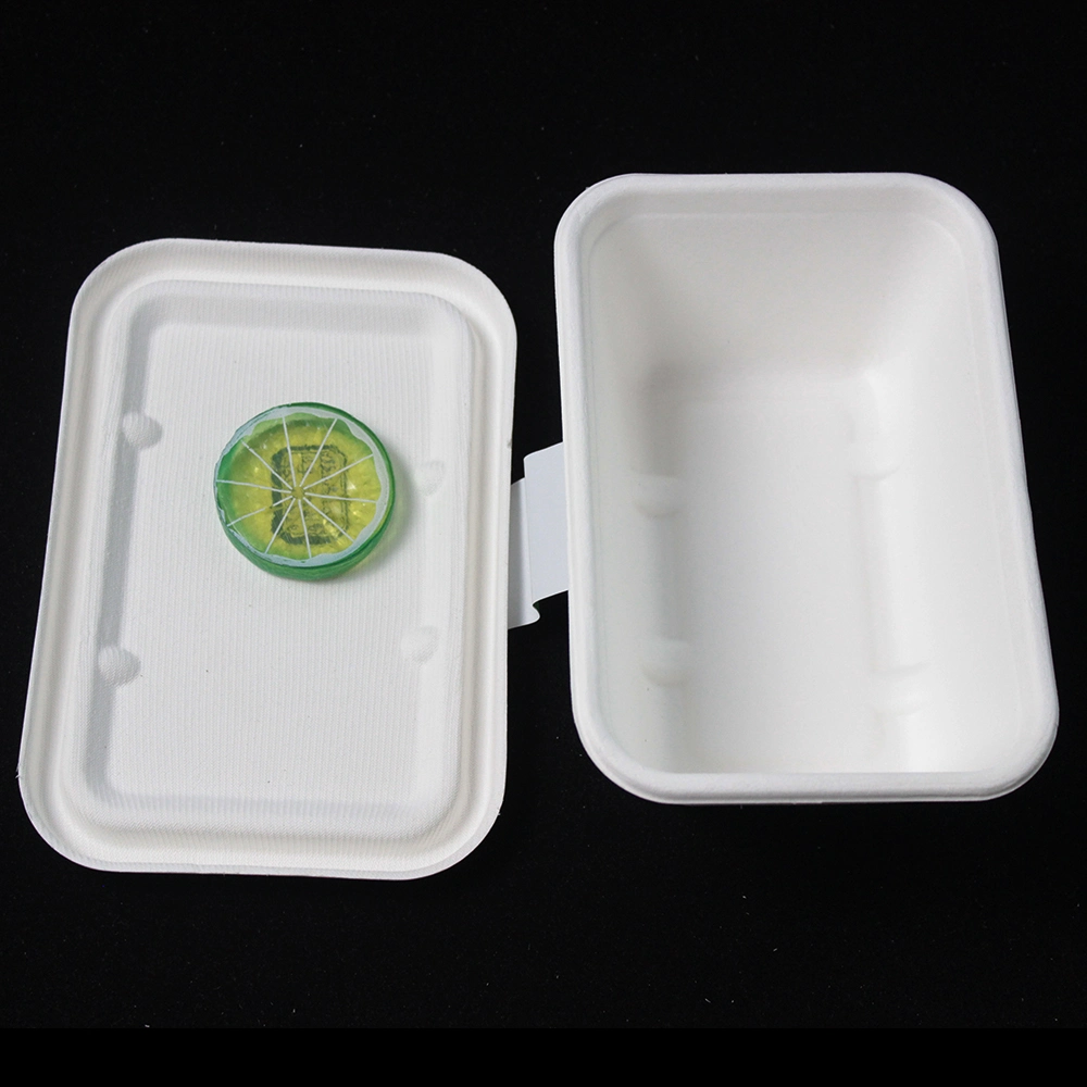 Custom Logo Printed 500ml 700ml 800ml 1000ml Paper Food Containers Biodegradable Sugar Cane Bagasse Lunch Box