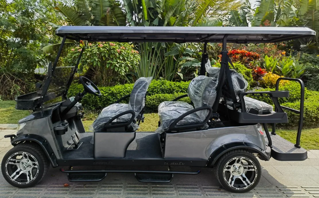 4 ou 2 carros elétricos de golfe da LNTO de Shenzhen com travão de disco CE E DOT bateria operado Golf Carts Cart