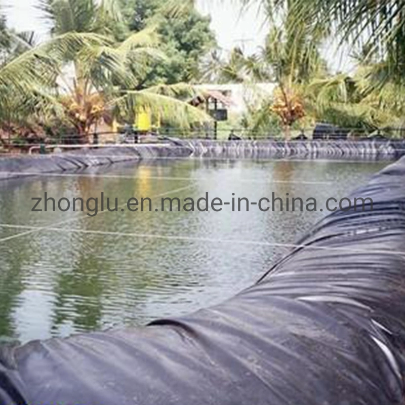 Fish Farm Pond Liner HDPE Geomembrane Waterproof Plastic Materials