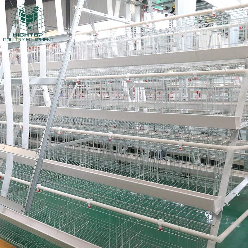 A Type Laying Hens Coop Egg  Layer Chicken Cage For Poultry Farm