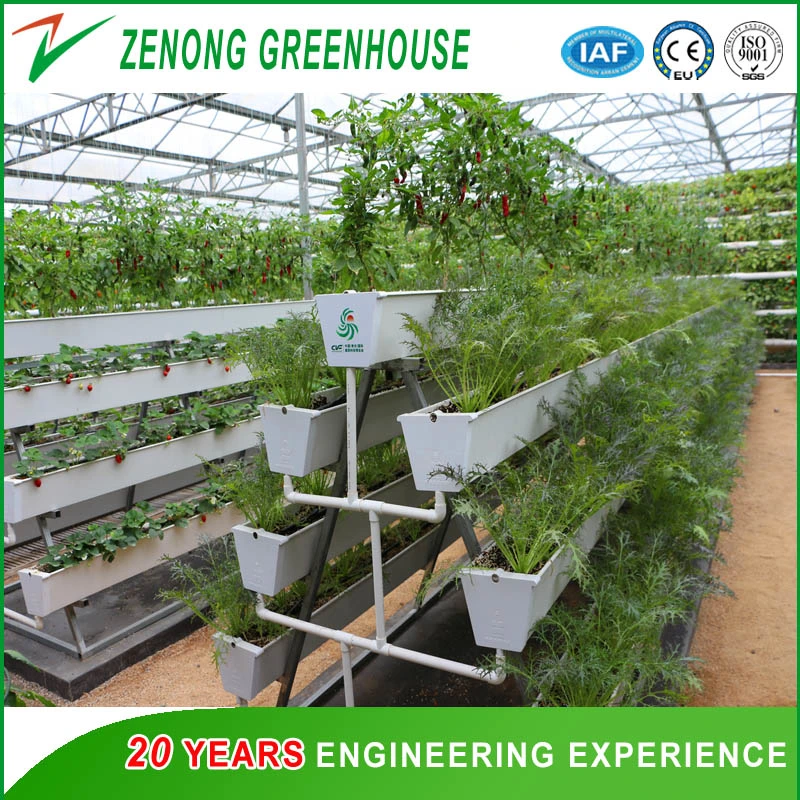 Soilless Culture Commercial Nft Hydroponics System Kinds of Soilless Culture Equipment