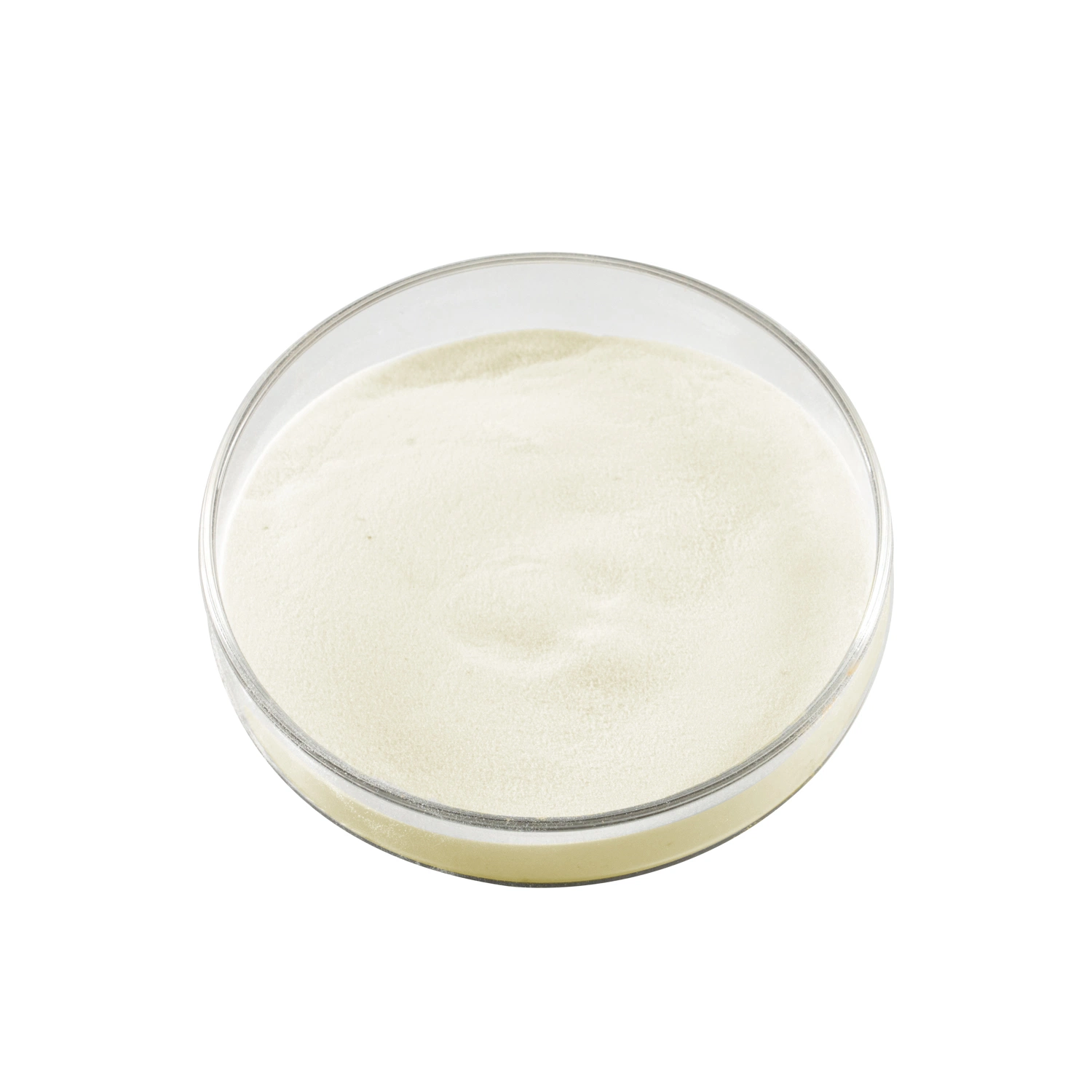 Highly Soluble Food Grade Xanthan Gum Powder