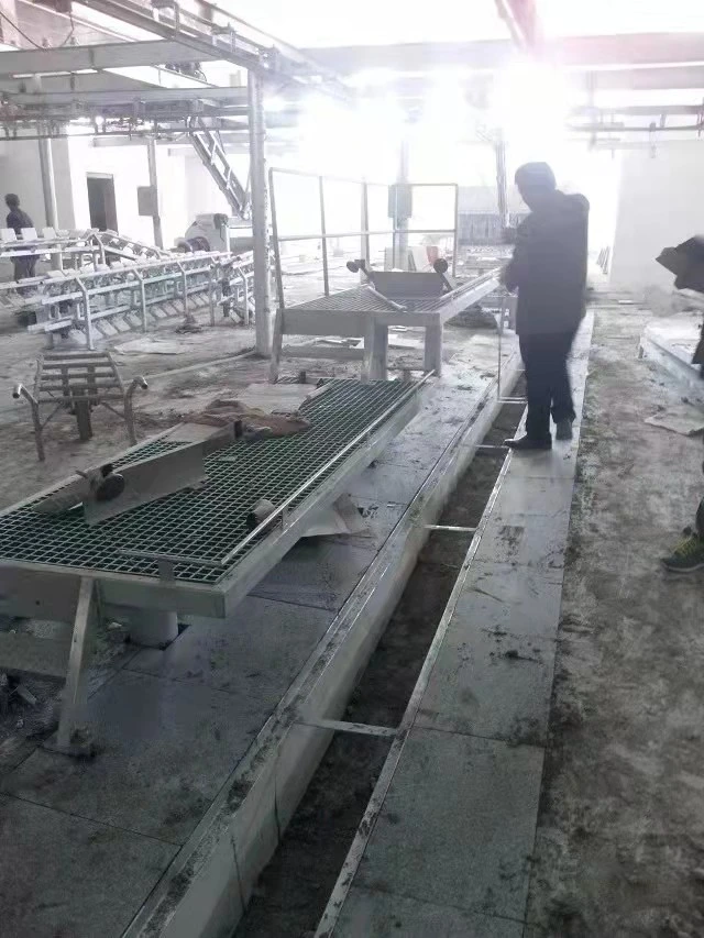 Meat Product Segmentation Processing Line Meat Segmentation Conveyor Belt