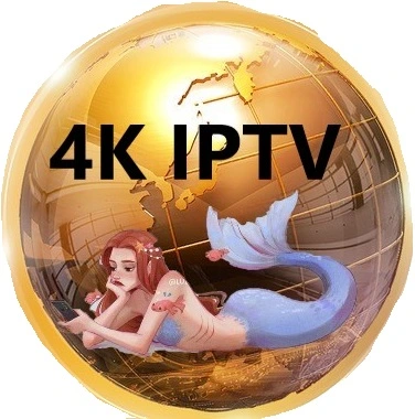 Stable IPTV avec HD 4K Afrique Australie UK Sports Belgique Italie Pologne Espagne Allemagne arabe pays-Bas IP TV Code pour Boîtier IPTV Android