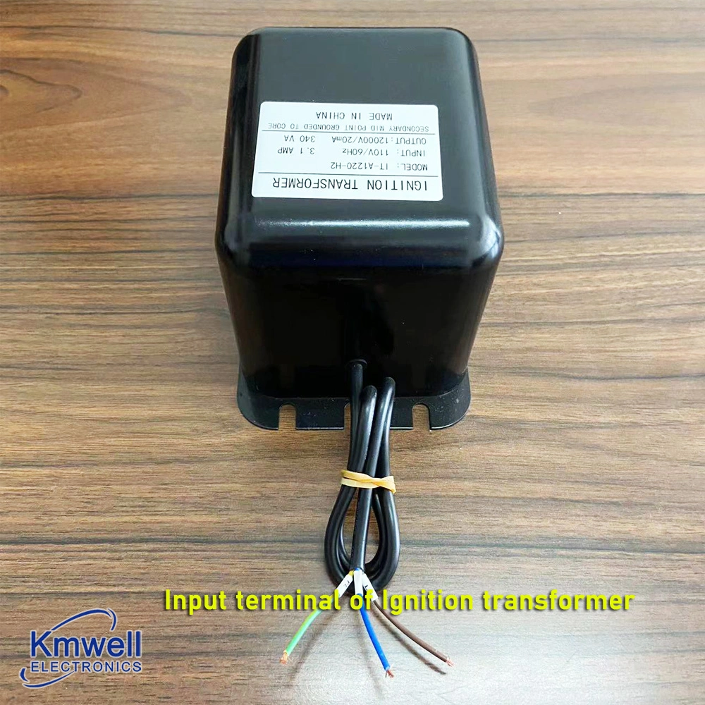 110/220V Oil Gas Burner Ignition Transformer for Boiler High Voltage 6000V-6000V Ignition Transformer