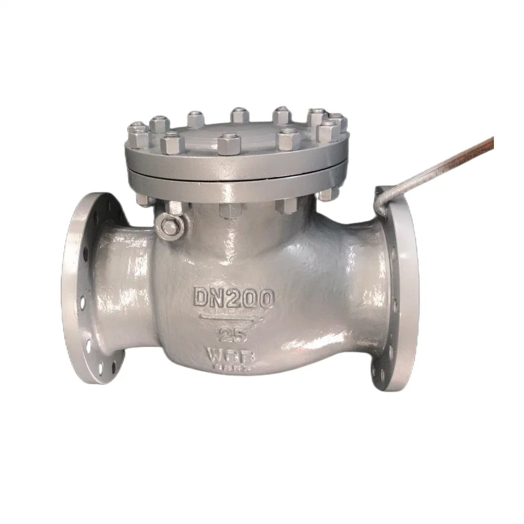 Factory Cl150 Cast CF8 CF8m Wcb Non-Return Lift Swing Stainless Steel Carbon Steel Cast Flange Check Valve