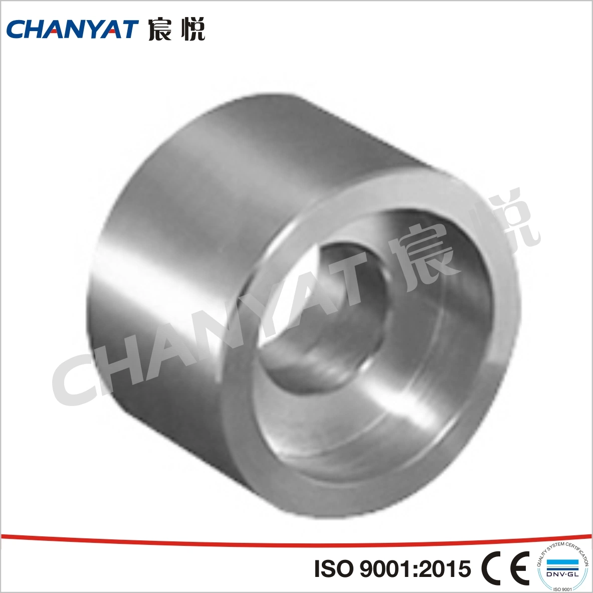 ASME, Mss, DIN, JIS, GOST Stainless Steel Forged Fitting