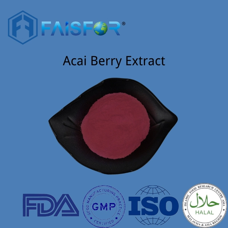 Fruit Extract Food Additive Acai Berry Extract Powder