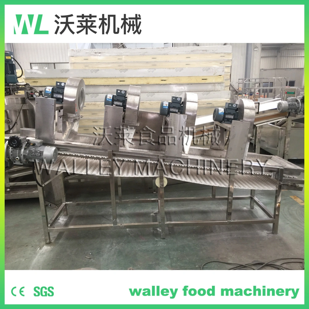 Factory Price Dewatering Equipment for Minimally Process Vegetables and Fruits