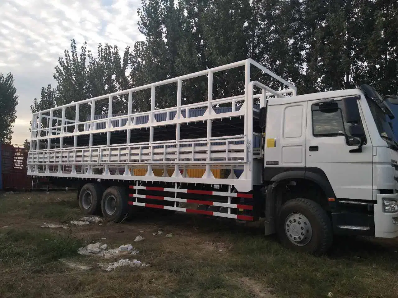 SINOTRUK HOWO 10 Räder LKW LKW Ladung zu verkaufen