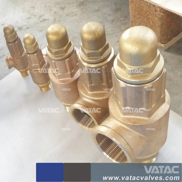 Bronze Thread/Screw Fnpt/Mnpt Spring Loaded Safety Valve