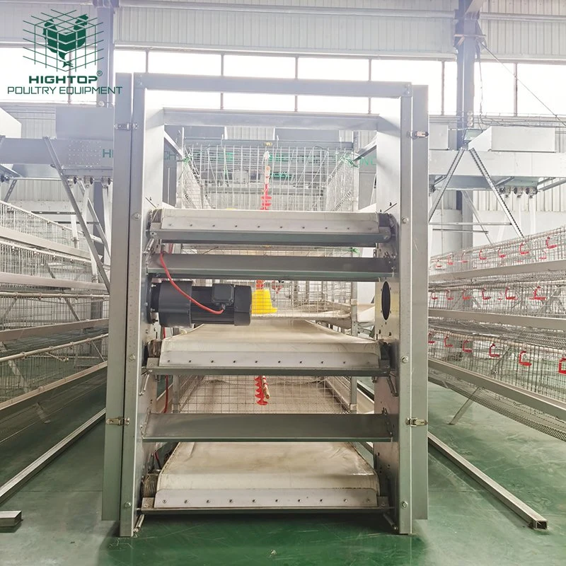 Poultry Farming Equipment Automatic H Type Battery System Broiler Chicken Cages for Sale