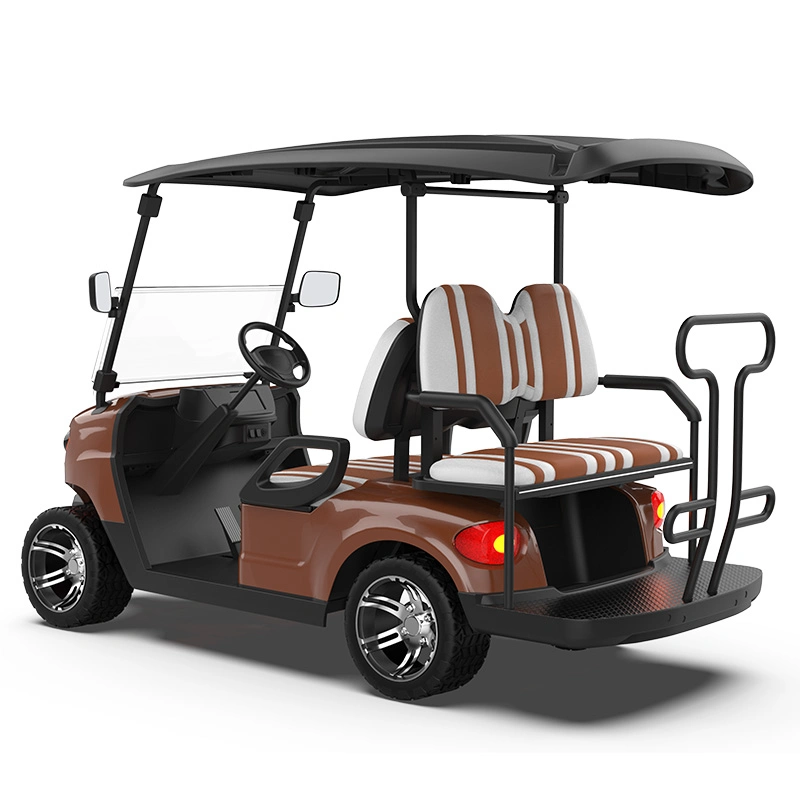 ISO Approved 3-4 Kinghike Packed and Loaded by Container Golf Cart Upgrades Vehicle