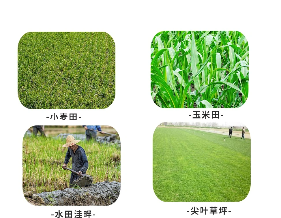 La Chine prix d'usine herbicide d'alimentation Bentazone 100g/L + mcpa 120g/L SL