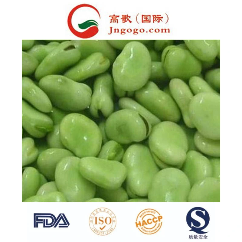 Best Quality Frozen Baby Broad Bean and Frozen Vegetable