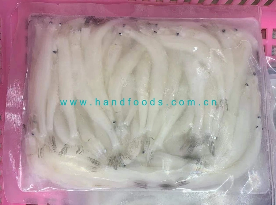 Good Quality of Healthy Seafood of Silverfish 1kg with Plastic Bag or Retail Paper Boxes