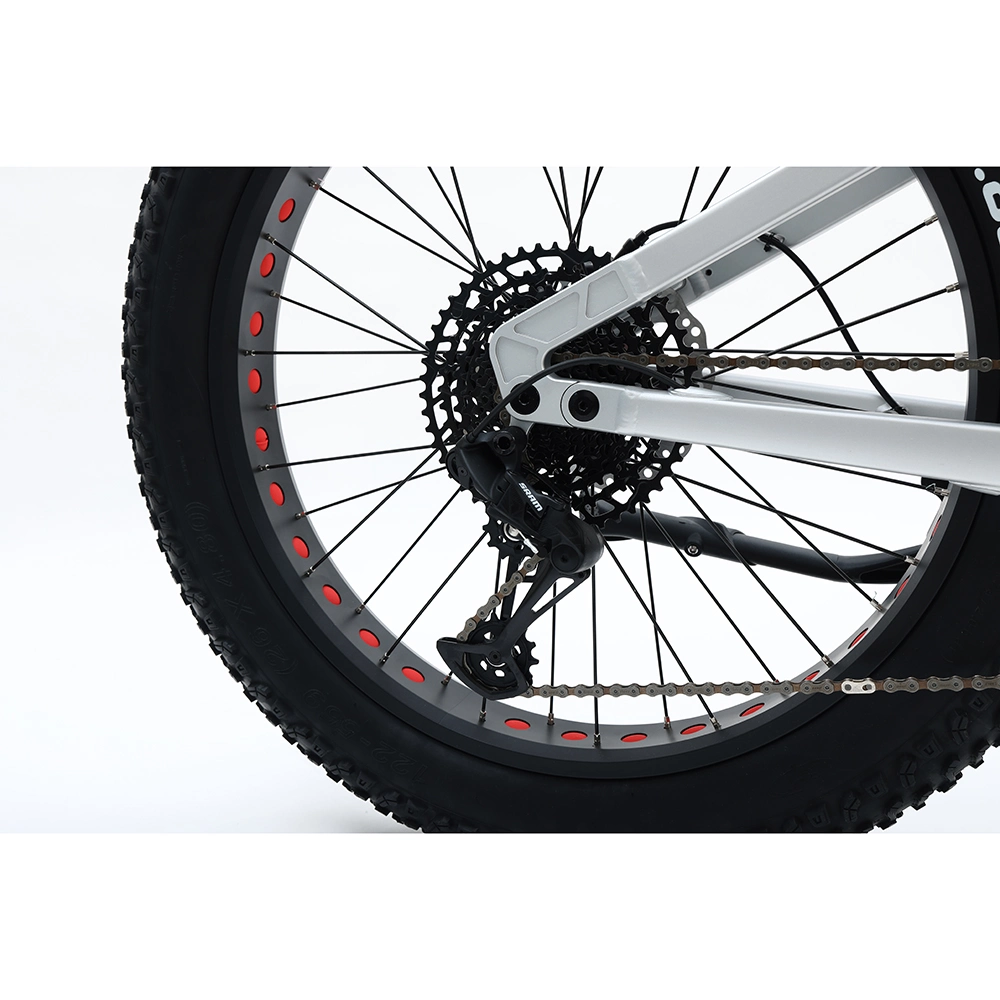 Dirt Bike-Inspired Electric Bicycle with Suspension Fork and Fat Tyres