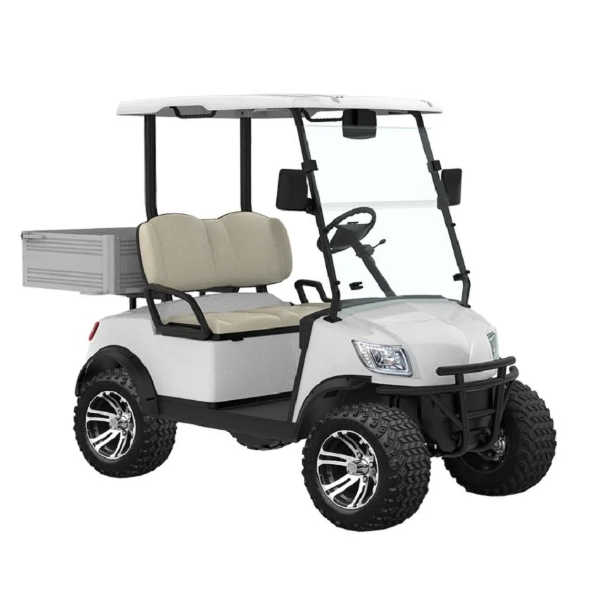 Marshell CE Approved Lithium Battery Operated 2 Seater Electric Golf Car (DH-M2S)